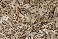 biomass boilers Bancycapel